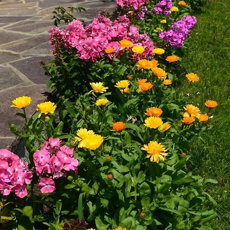 مزرعة للإقامة Schusterhof