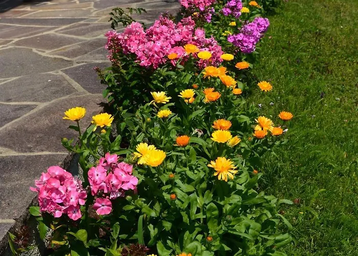 مزرعة للإقامة Schusterhof